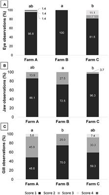 Tilapia On-Farm Welfare Assessment Protocol for Semi-intensive Production Systems